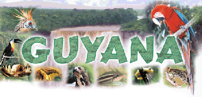 Guyana Logo